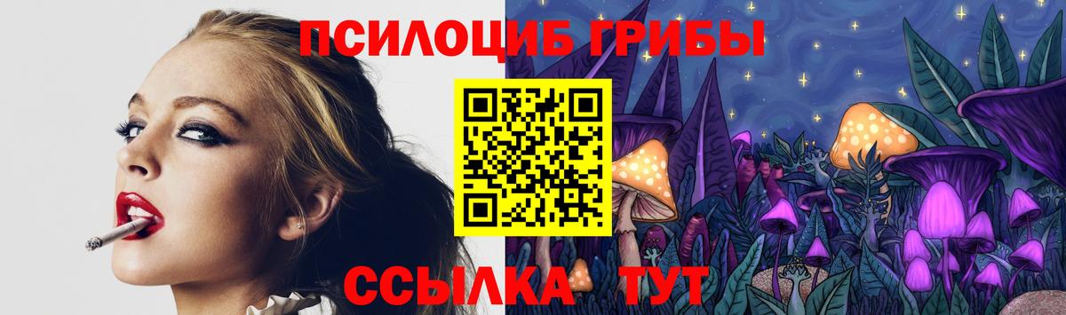 Псилоцибиновые грибы мицелий  Вход с VPN  Ярцево 